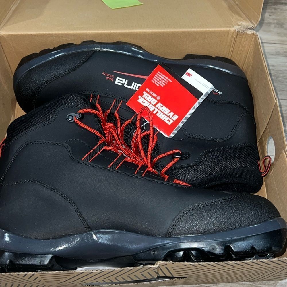 alpina boots